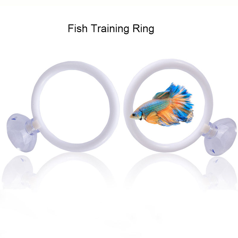 ชุดวงแหวนฝึกปลาเบต้า 1 ชิ้น ทำ - Gymnastic Ring บทวิจารณ์และราคา